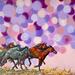 "Prairie Horses" Original Chris Wakefield Mixed Media Painting On Canvas